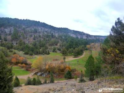 Cañones Río Lobos,Valderrueda;glosario de senderismo rutas senderismo dehesa boyal san sebastian d